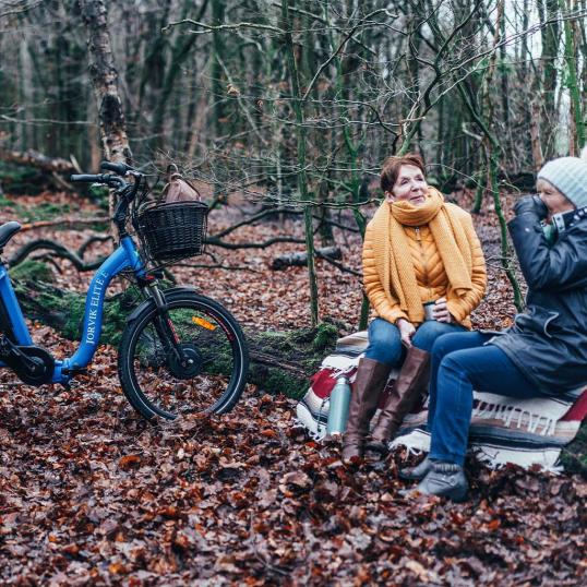 A blue electric tricycle with a front basket is parked in a forest clearing, where two people sit on blankets surrounded by fallen leaves, chatting and enjoying a winter day.