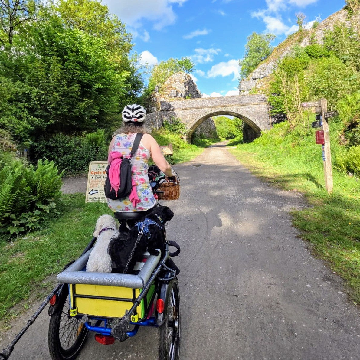 From 4 Wheels to 3: Michelle’s inspirational journey