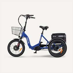 Blue / I am eligible for disability VAT relief
