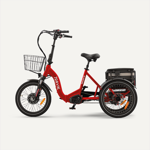 Red / I am eligible for disability VAT relief