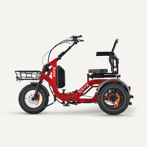 Red / I am eligible for disability VAT relief