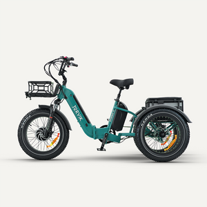Teal / I am eligible for disability VAT relief