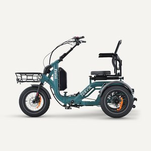 Teal / I am eligible for disability VAT relief