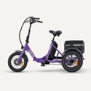 Purple / I am eligible for disability VAT relief